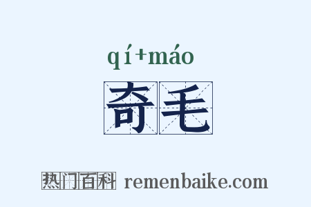 奇毛是什么意思的图片